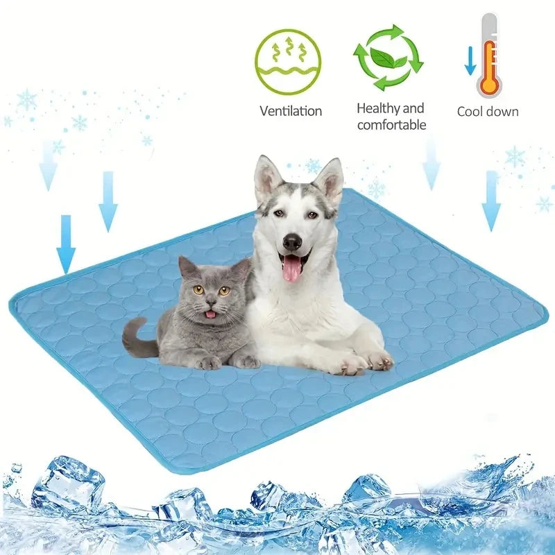 ArcticPaws